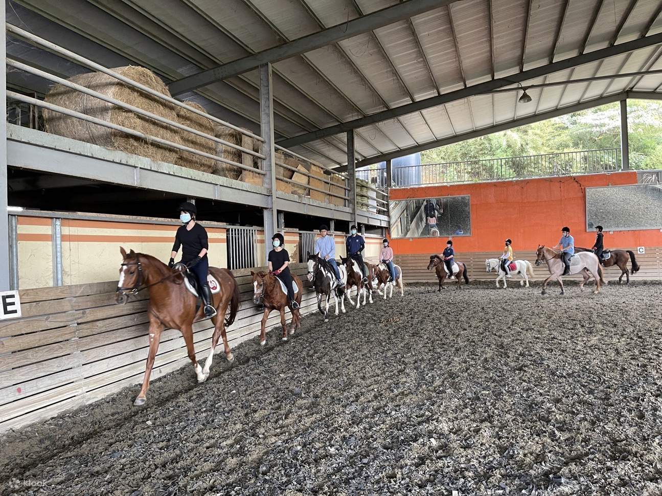 Trải nghiệm huấn luyện viên cưỡi ngựa